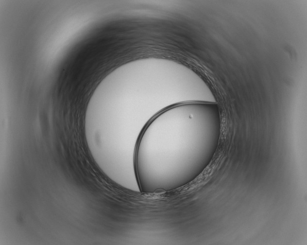 X0000111900762200909071136