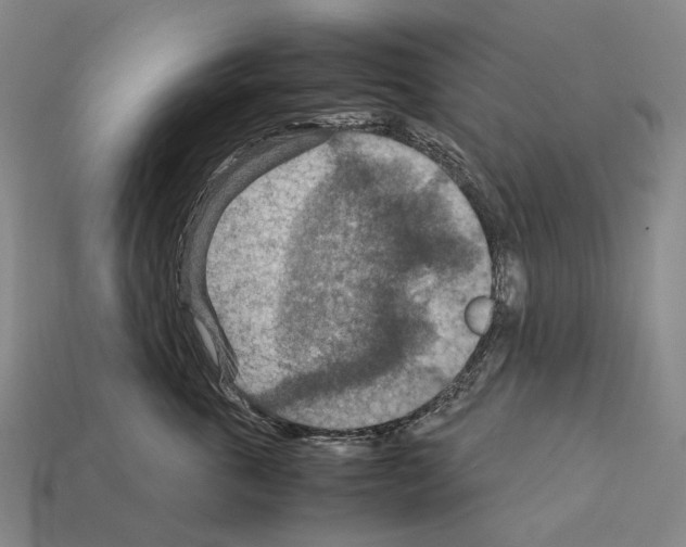 X0000111900763200909071136