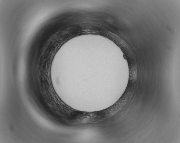 X0000111900764200909071136