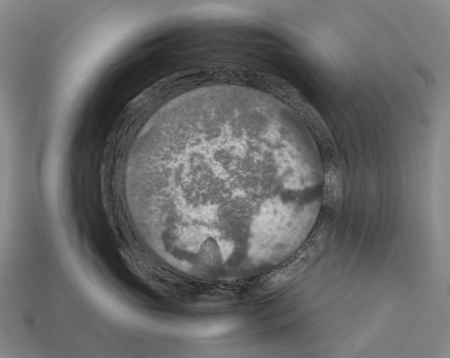 X0000111900765200909071136