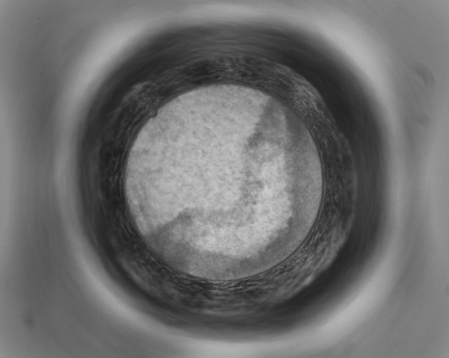 X0000111900766200909071136