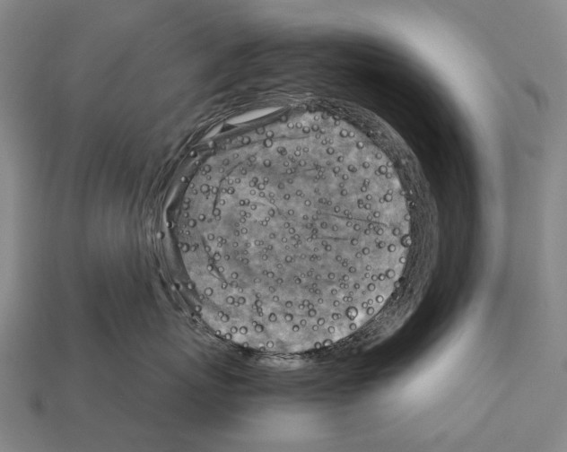 X0000111900767200909071136