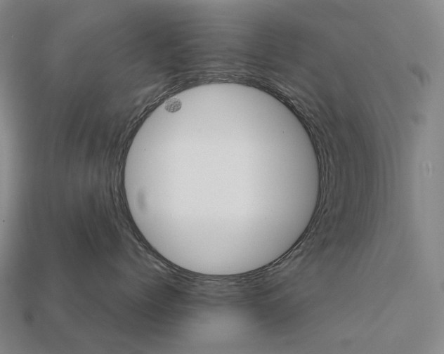 X0000111900768200909071136