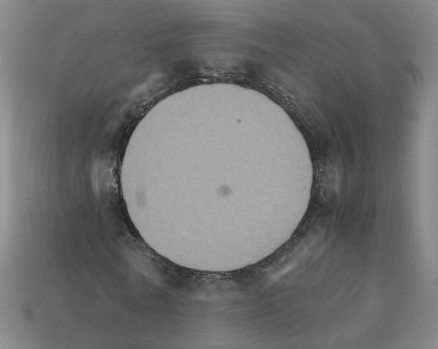 X0000111900770200909071135