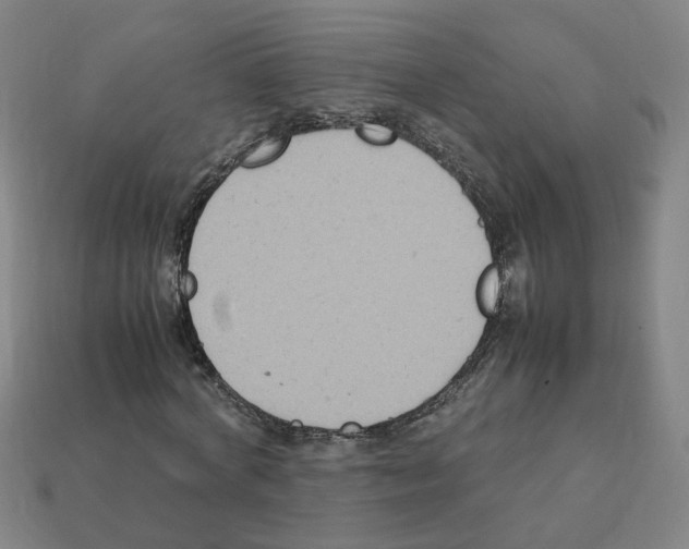 X0000111900772200909071135