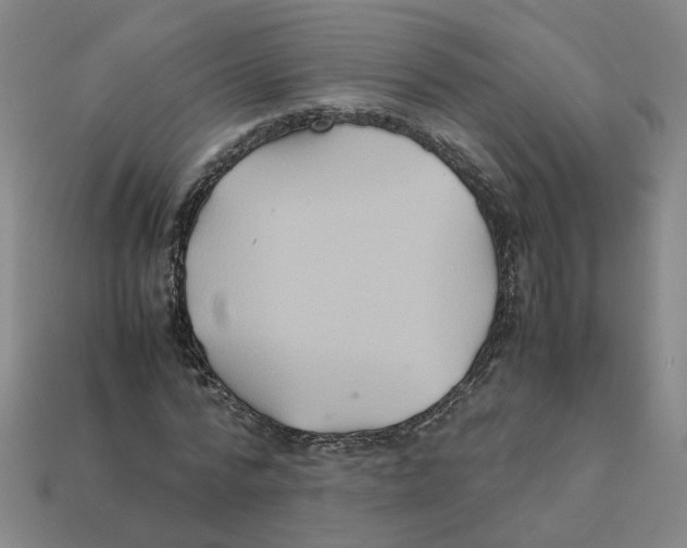 X0000111900776200909071135