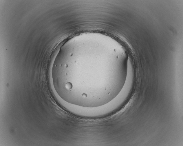 X0000111900777200909071135