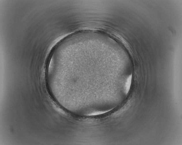 X0000111900779200909071135