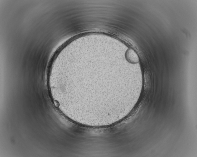 X0000111900780200909071135