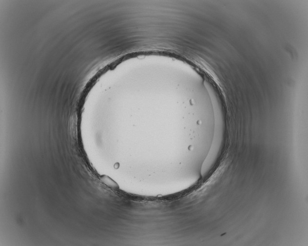 X0000111900781200909071135