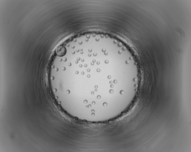 X0000111900782200909071135