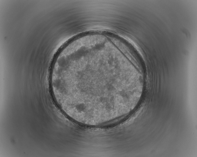 X0000111900783200909071135