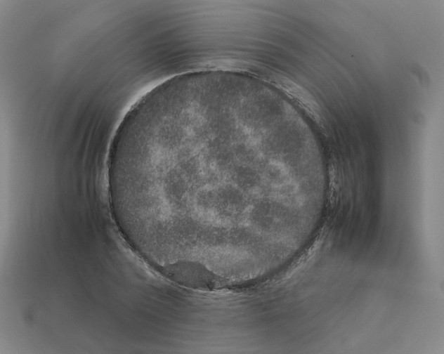 X0000111900784200909071135