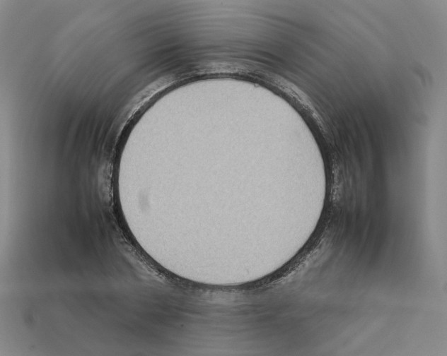 X0000111900786200909071135