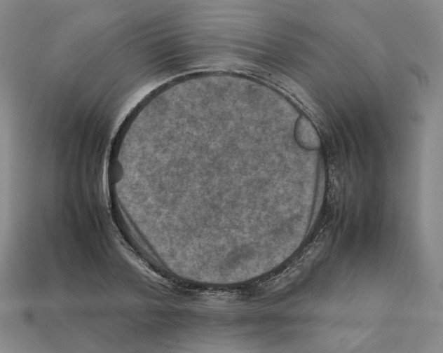 X0000111900788200909071135