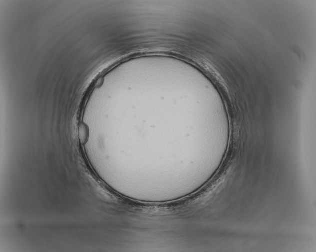 X0000111900789200909071135