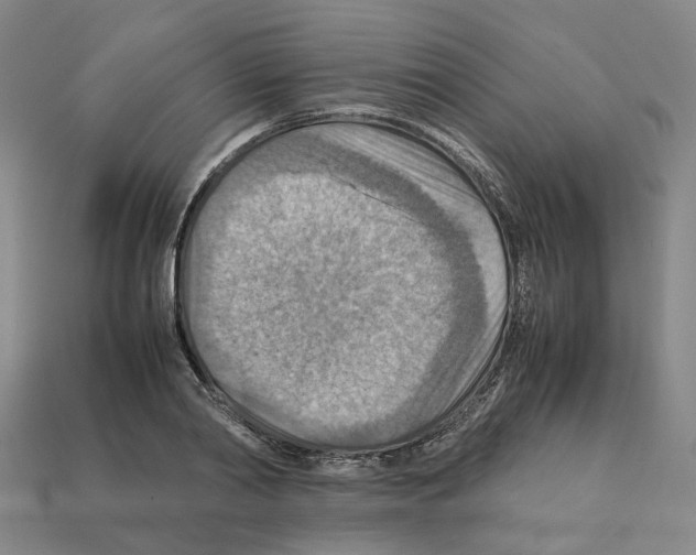 X0000111900790200909071135