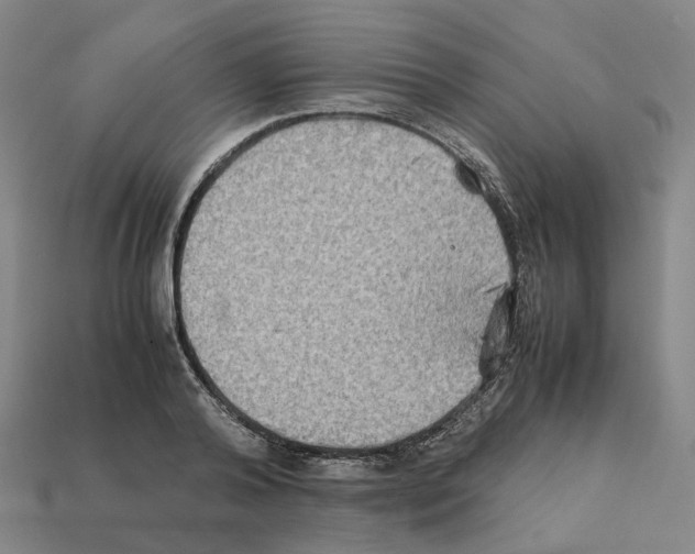 X0000111900792200909071135