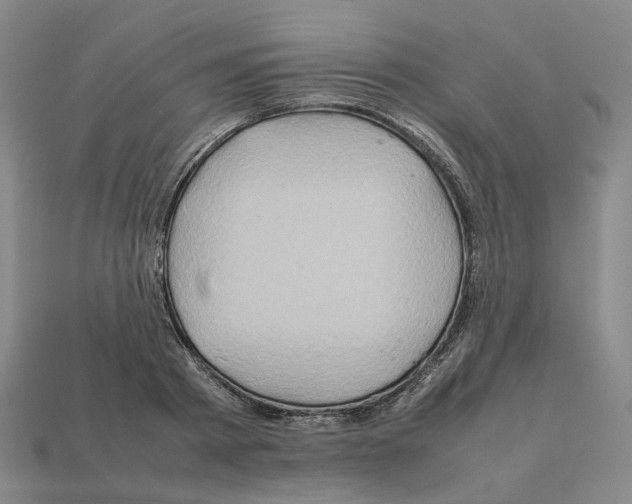 X0000111900793200909071135