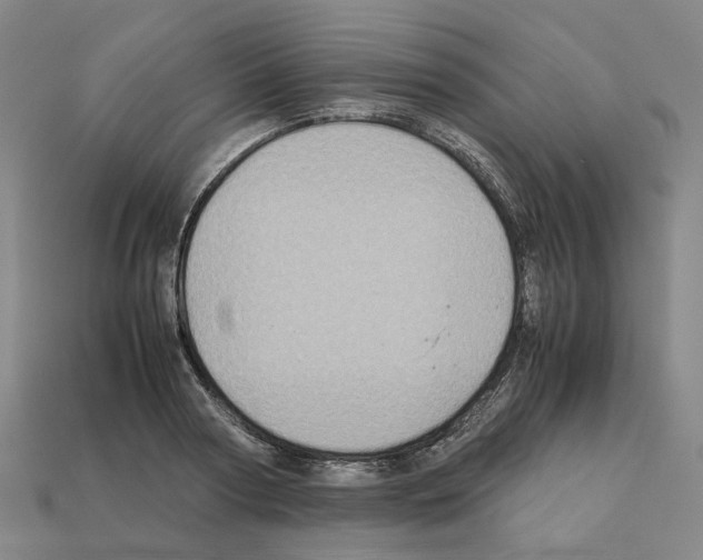 X0000111900794200909071135