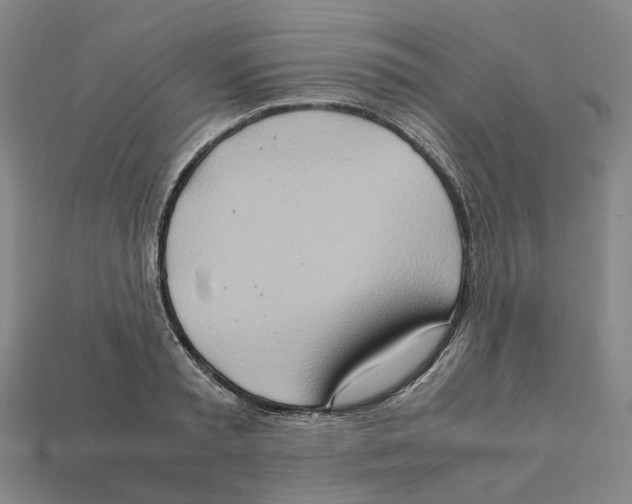 X0000111900797200909071135