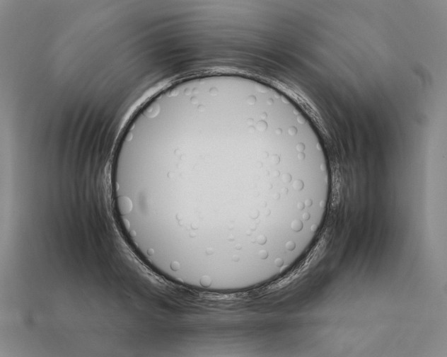 X0000111900798200909071135