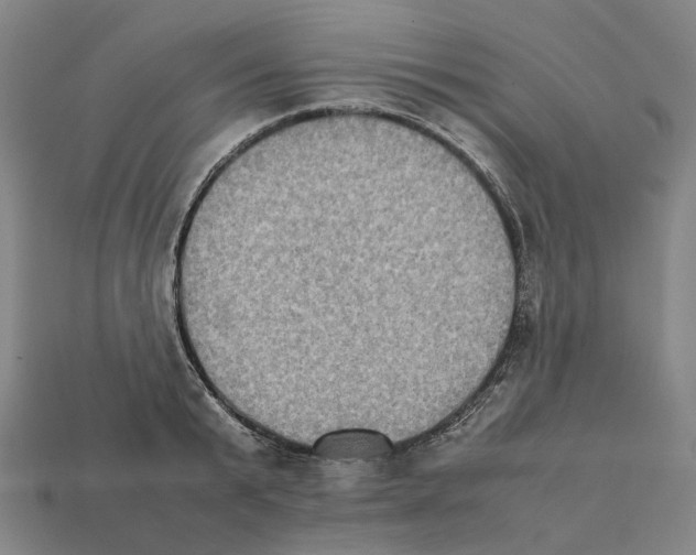 X0000111900799200909071135