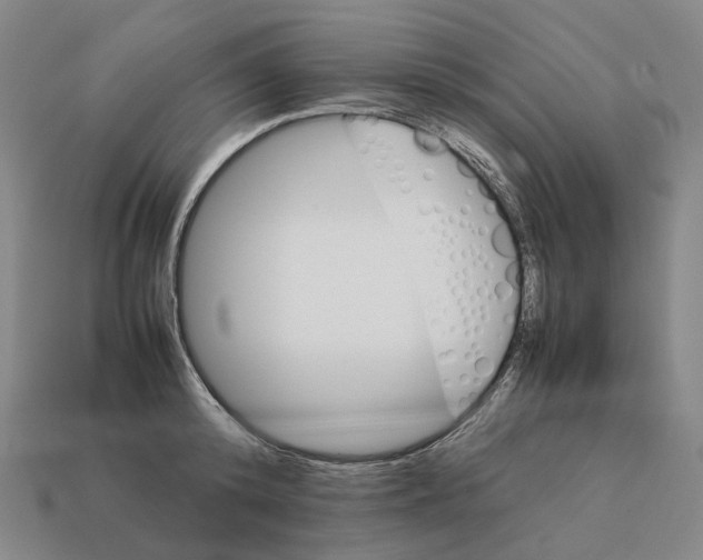 X0000111900800200909071135