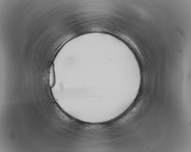 X0000111900801200909071135