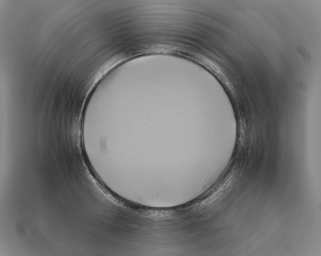 X0000111900802200909071135