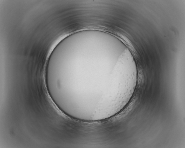 X0000111900804200909071135