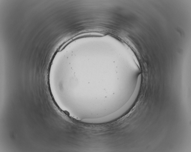 X0000111900805200909071135