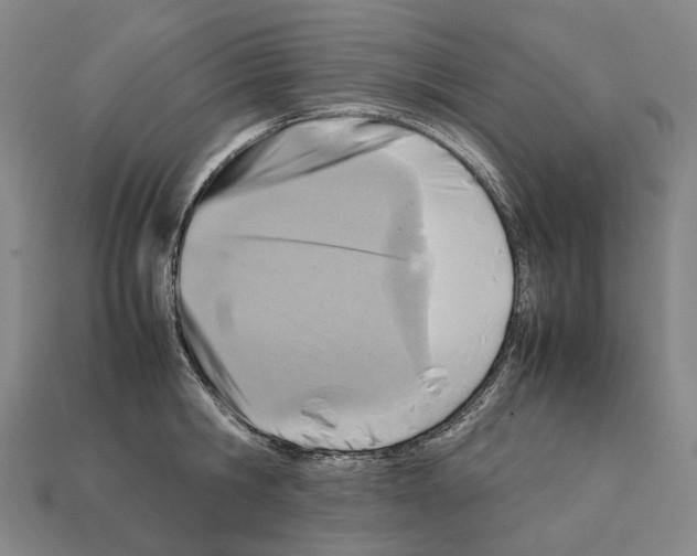 X0000111900806200909071135