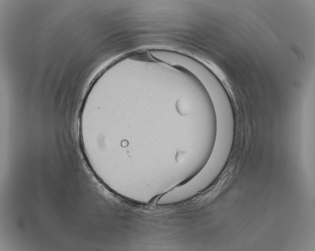 X0000111900807200909071135