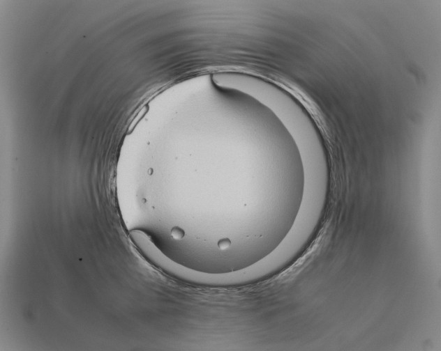 X0000111900809200909071135