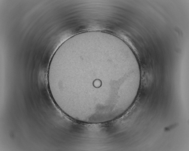 X0000111900810200909071135