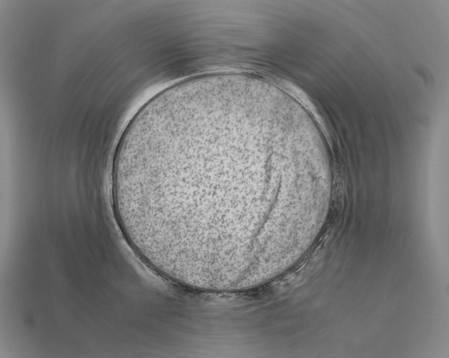 X0000111900811200909071135