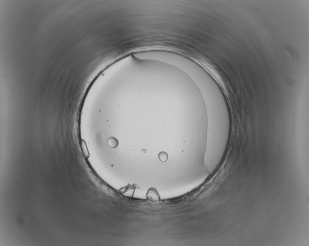 X0000111900813200909071135