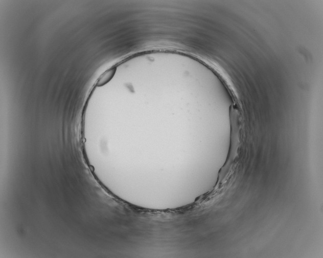 X0000111900815200909071135