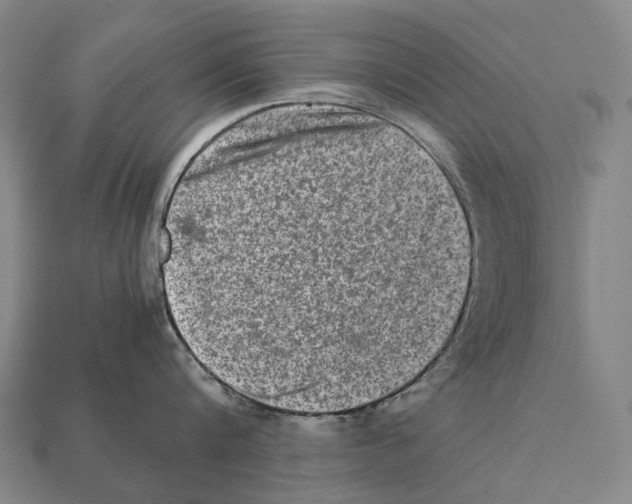 X0000111900816200909071135