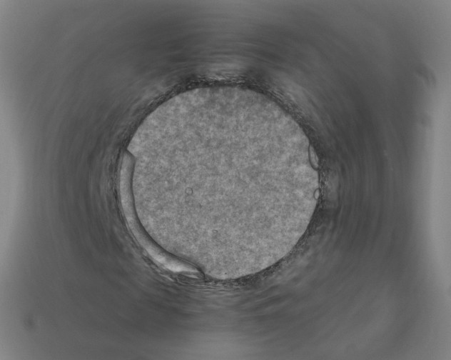 X0000111900817200909071134