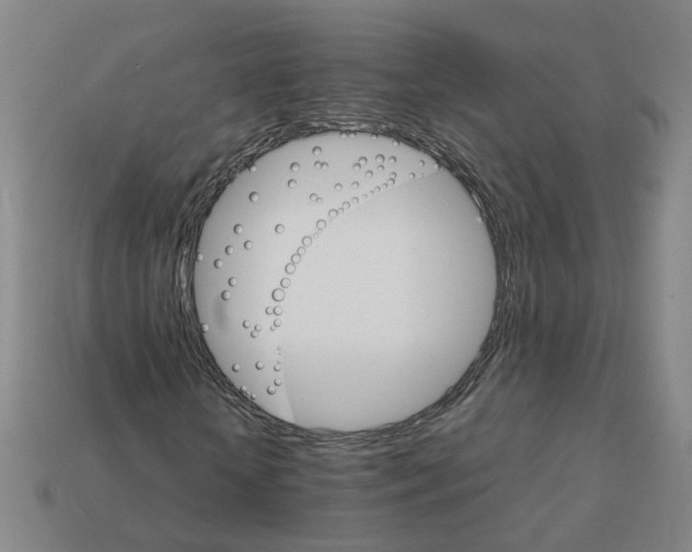 X0000111900818200909071134