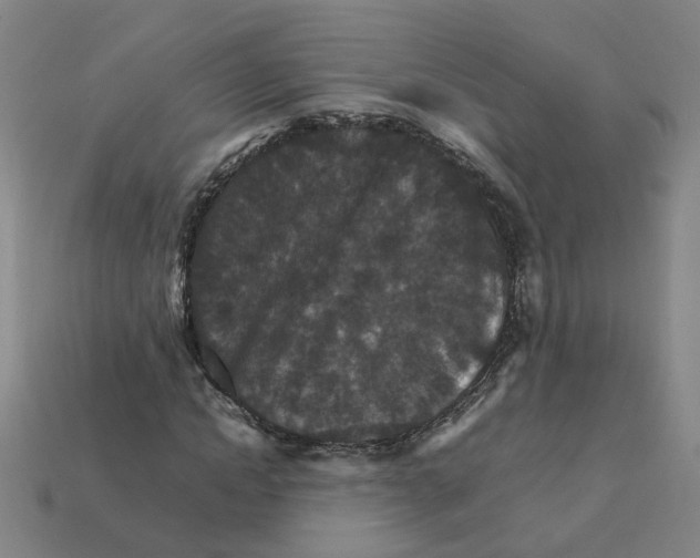 X0000111900822200909071134