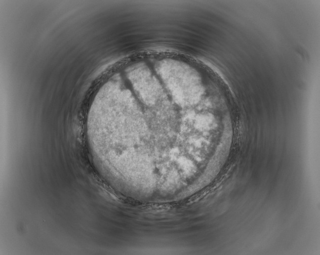 X0000111900823200909071134