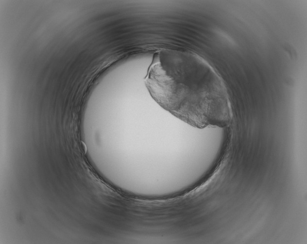 X0000111900825200909071134