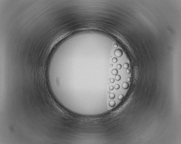 X0000111900826200909071134