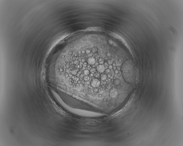 X0000111900827200909071134