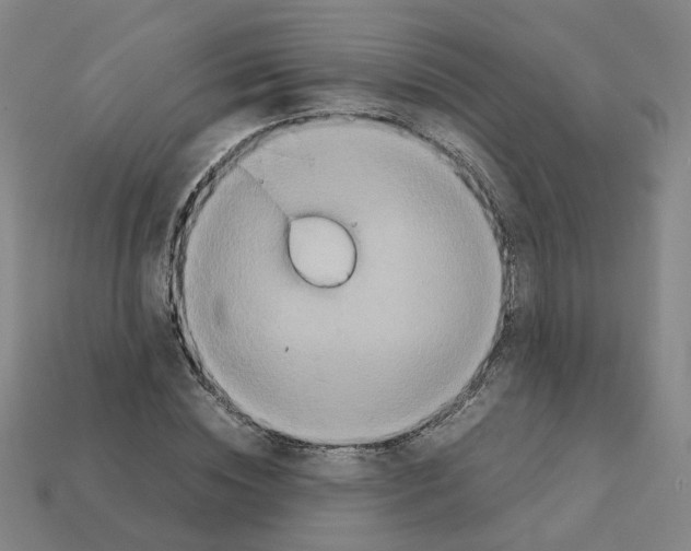 X0000111900828200909071134