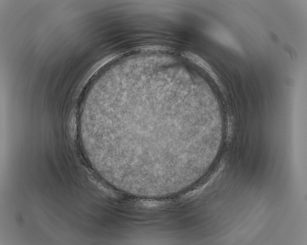 X0000111900829200909071134