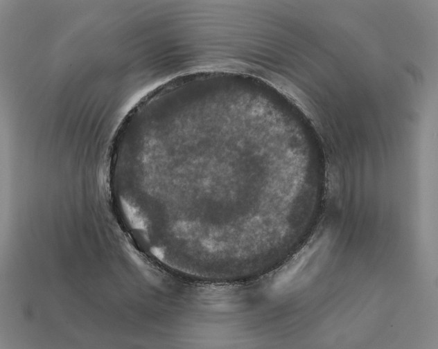 X0000111900830200909071134